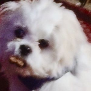 Meet your Posher, Kenneth